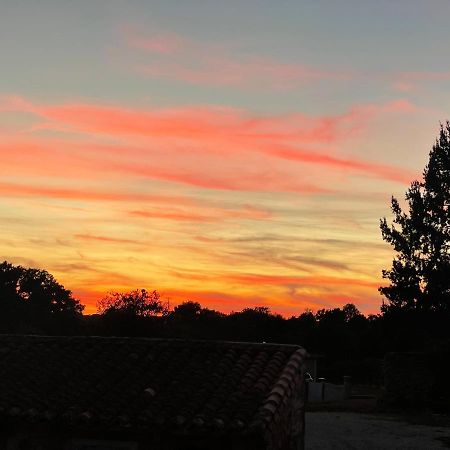 Maison Hirondelles Hotes Mezieres-sur-Issoire Exteriör bild